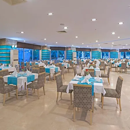 リゾート Lilyum & シダ