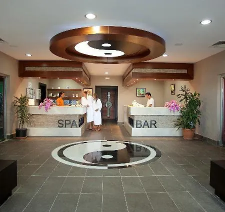 リゾート Lilyum & シダ